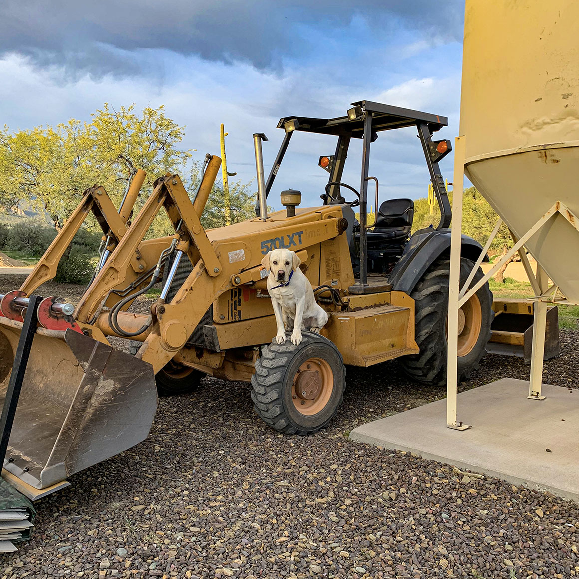 570LXT and VP Dog 570LXT and VP Dog